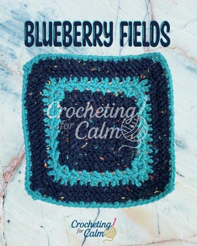 🫐 Blueberry Fields