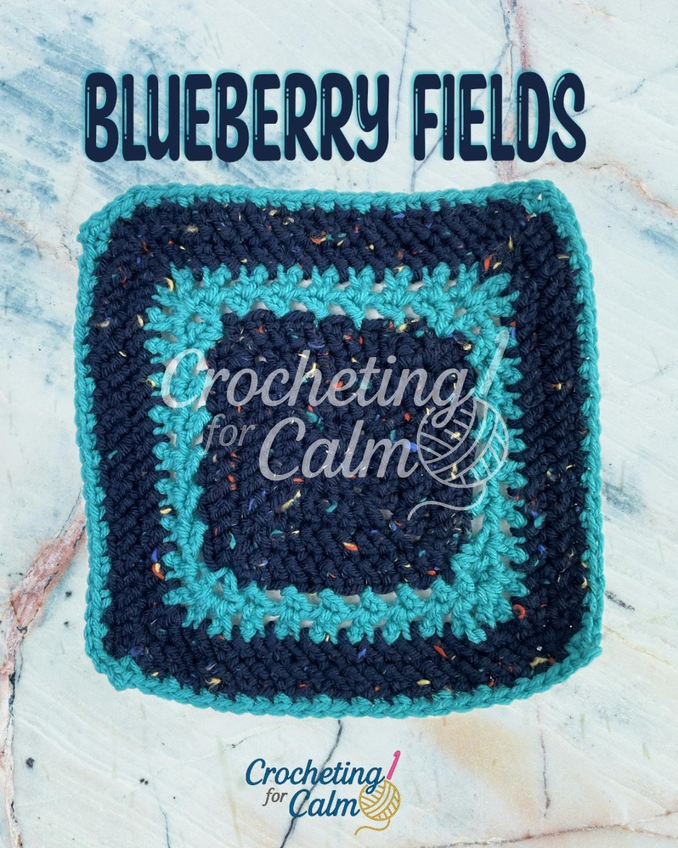 🫐 Blueberry Fields