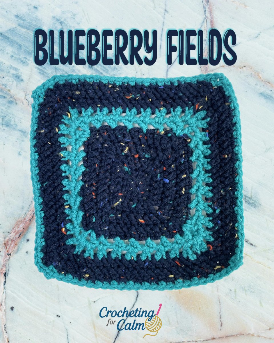 🫐 Blueberry Fields