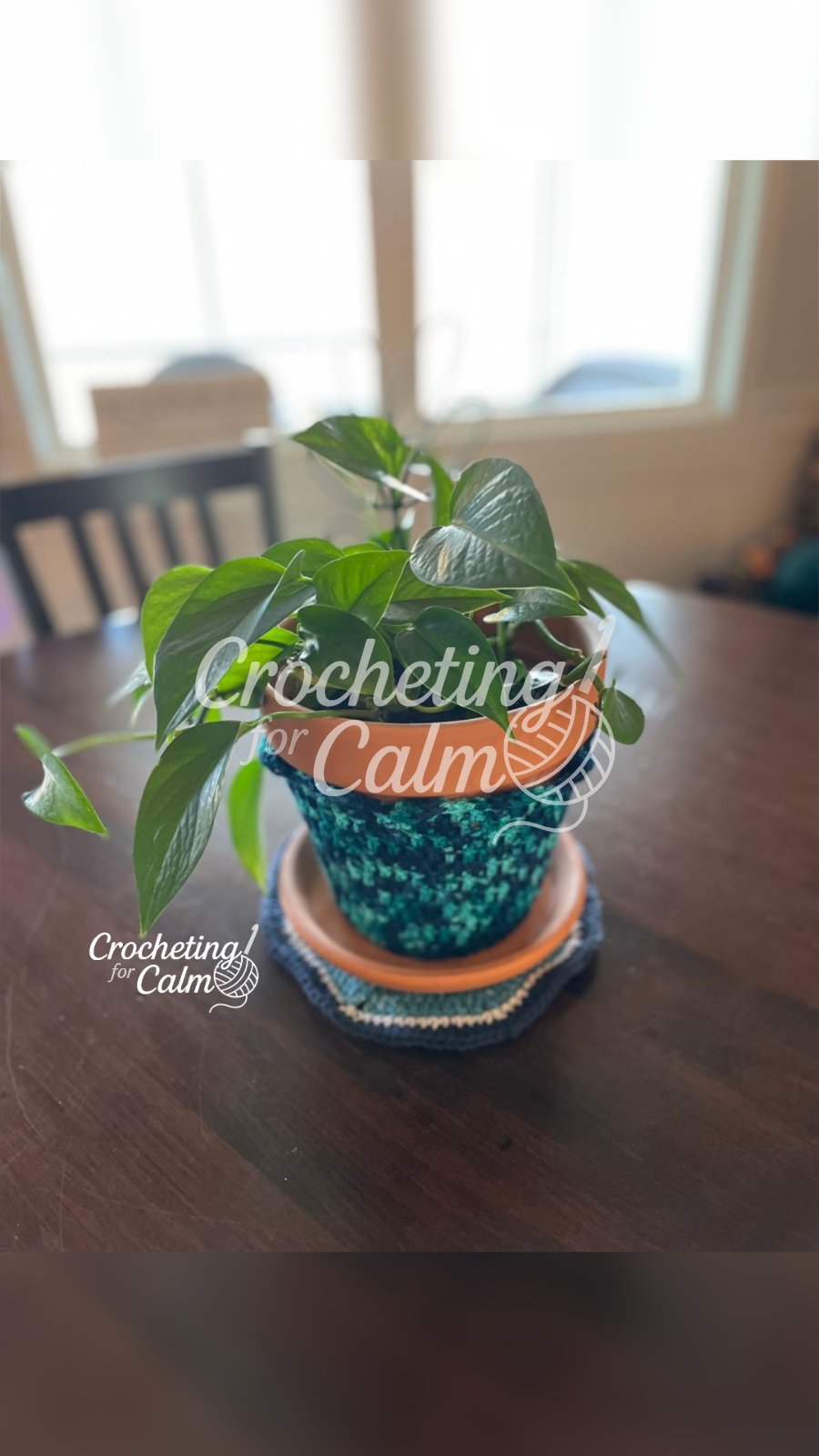 Navy and Teal Crocheted Plant Pot Cover with a green plant in the pot. Sitting on a dining room table.