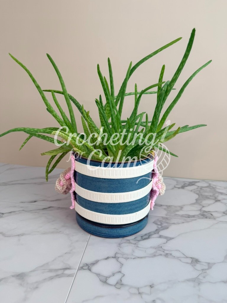 Back view of the blue pot showing the three horizontal white elastic bands connecting the sides of the pink crochet owl cozy, keeping it secured around the pot beneath the sprawling aloe vera leaves.
