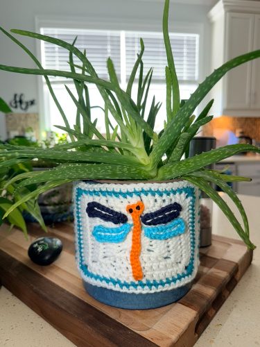 Dragonfly Granny Square Pot Cozy — crochet project
