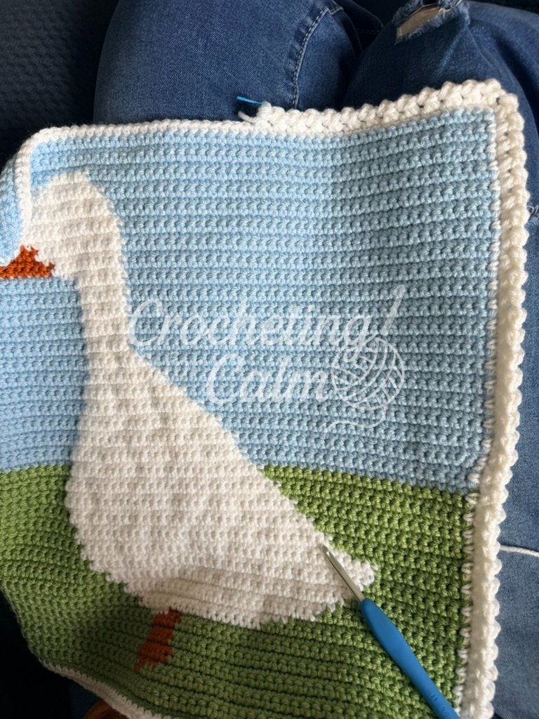 Dress Up Goose Tapestry — crochet project; border being added.